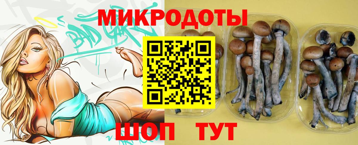 Галлюциногенные грибы мицелий  Псилоцибиновые грибы Psilocybe  Вход с VPN  Вологда 